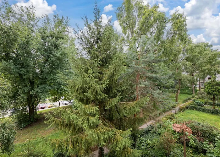 Park Moczydlo Happy *