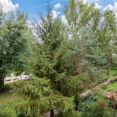 Park Moczydlo Happy *